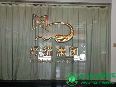 宝鸡好猫集团污水、废气治理项目实拍图